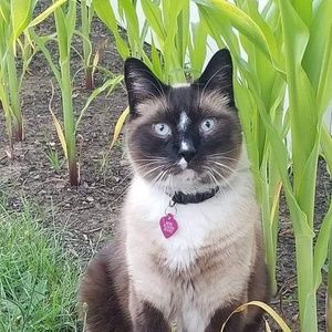 Meet your Posher, Sandy